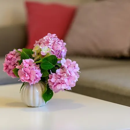 Sanja * Ντουμπρόβνικ